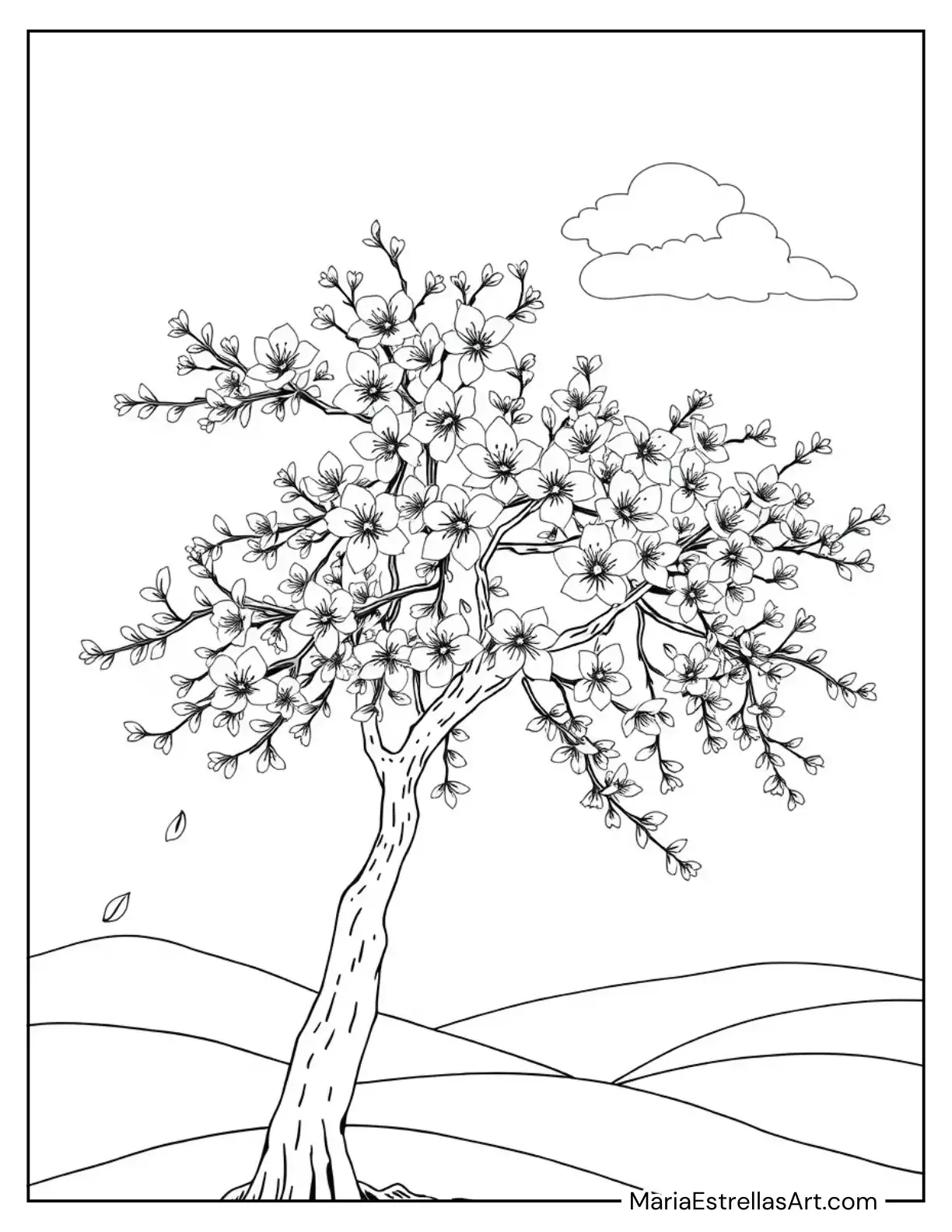 Blooming Cherry Blossoms on a Tree Branch Coloring Sheet