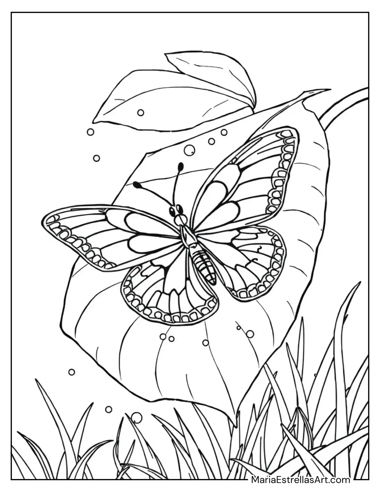 Butterfly Resting on a Leaf in the Rain Coloring Page