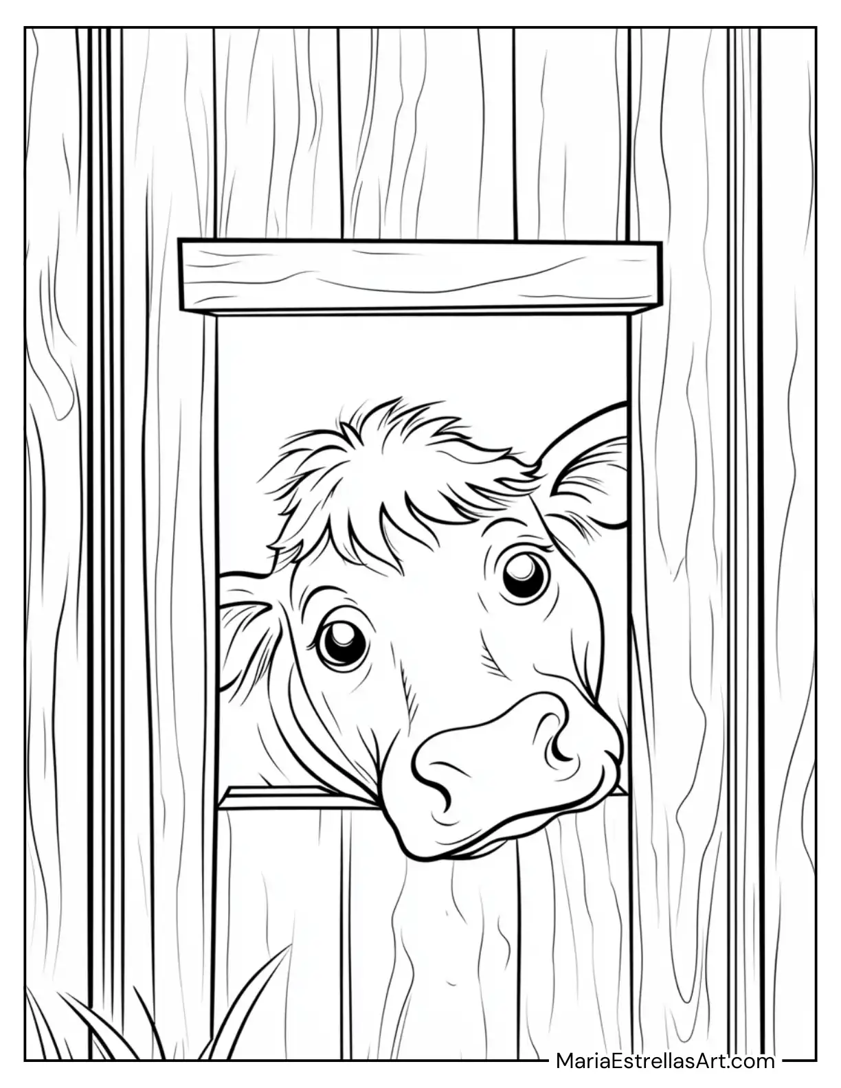 Cow Peeking Out From a Barn Window Coloring Page