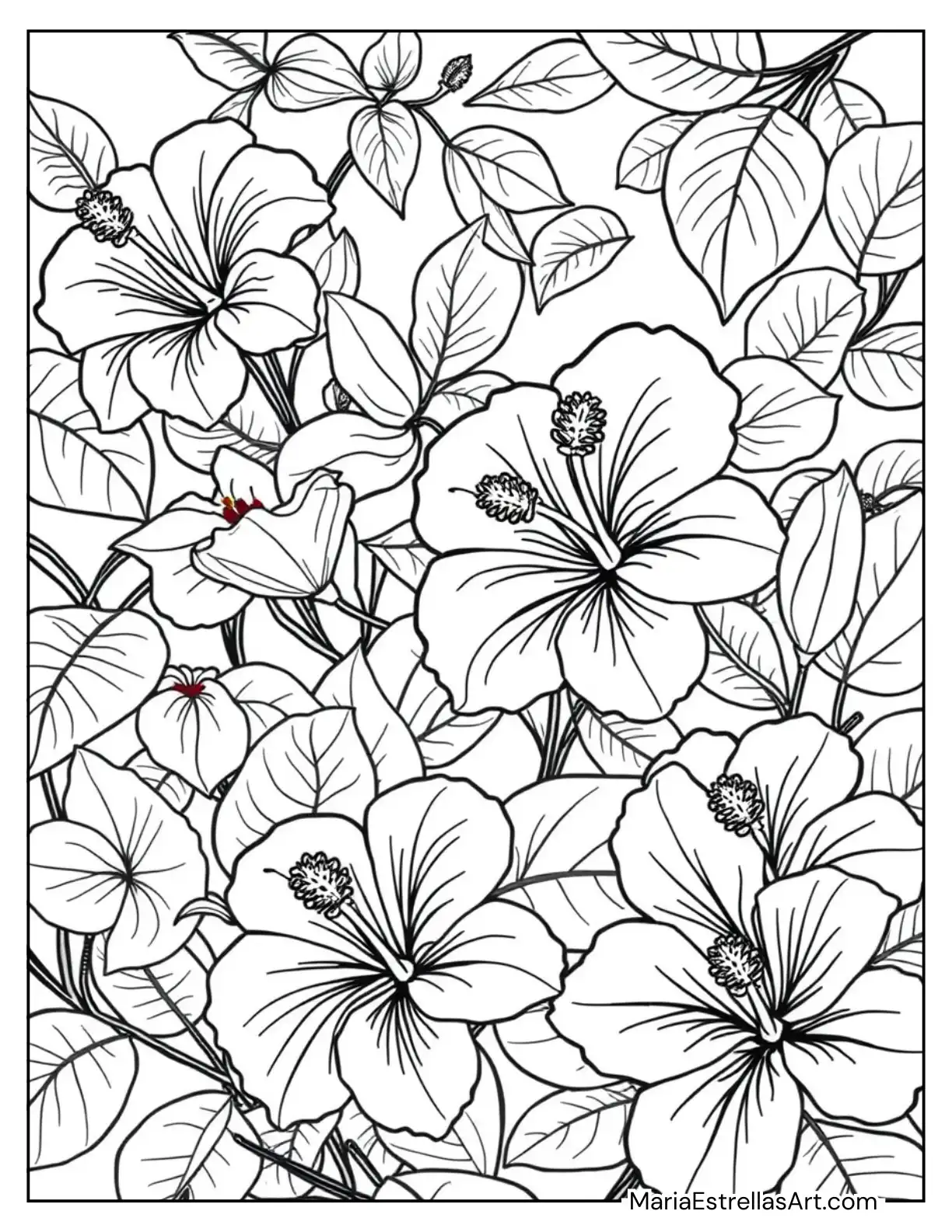 Exotic Hibiscus Flowers to Color for Kids