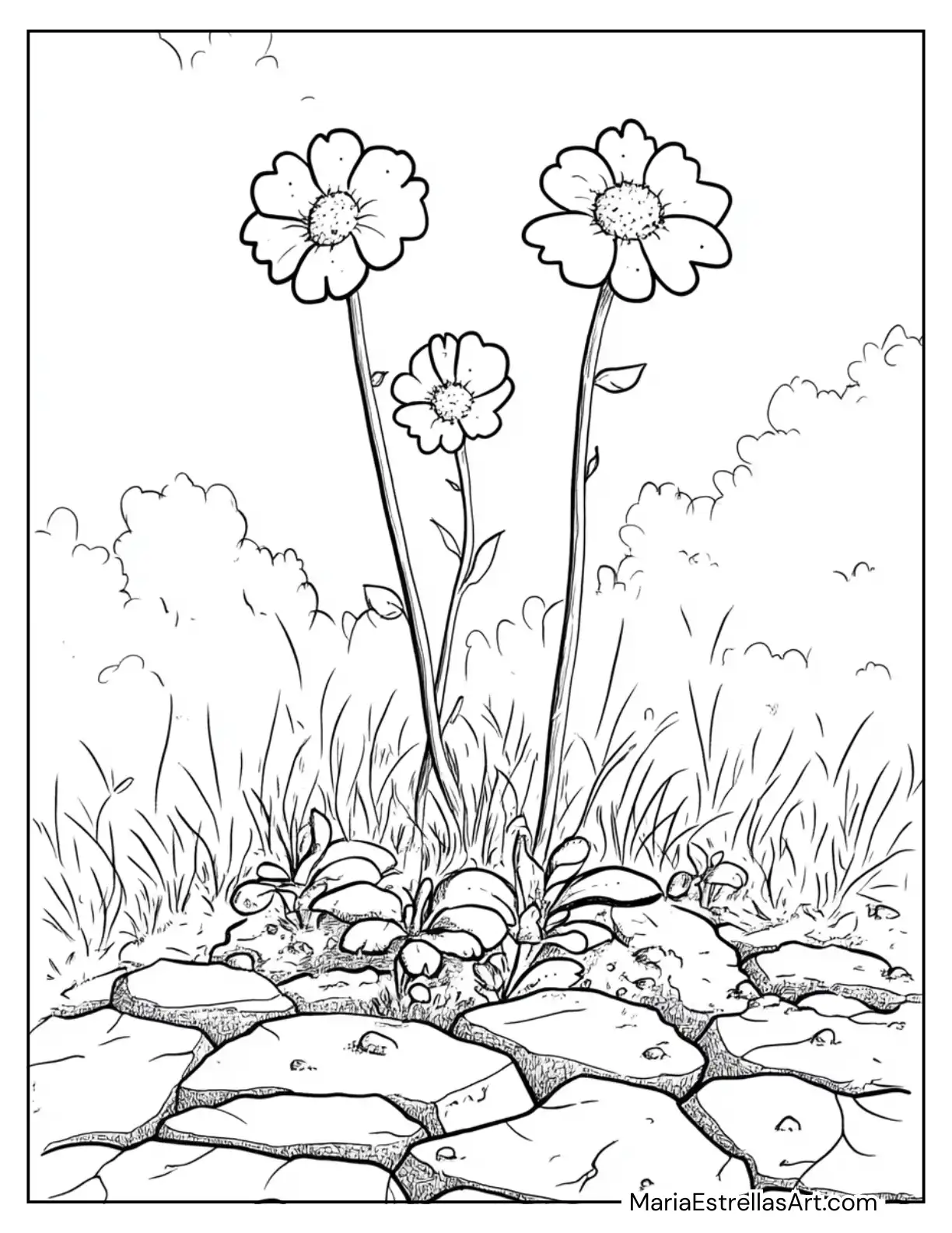 Flowers Growing From a Cracked Stone Path Coloring Sheet