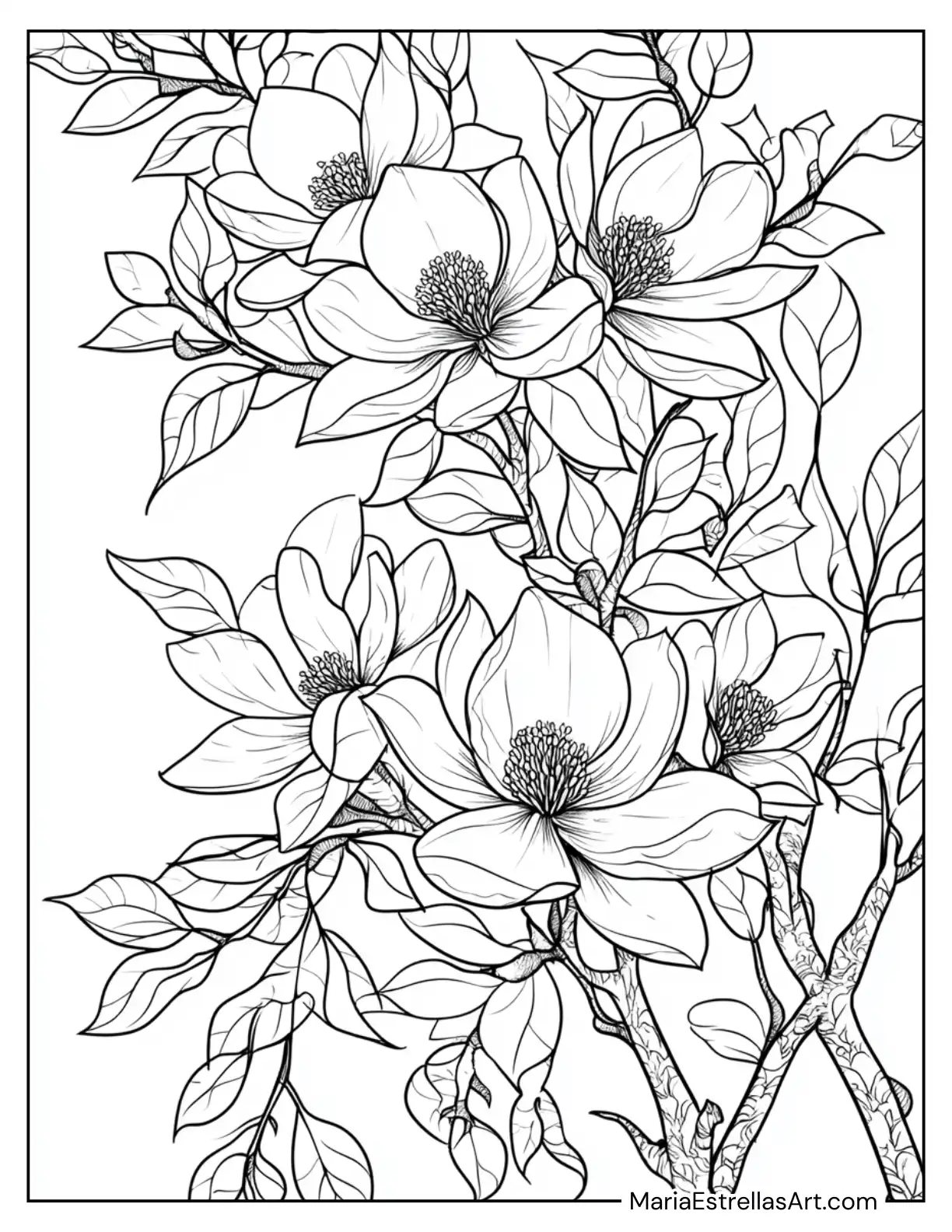 Magnolias Blooming on a Tree Branch to Color for Kids