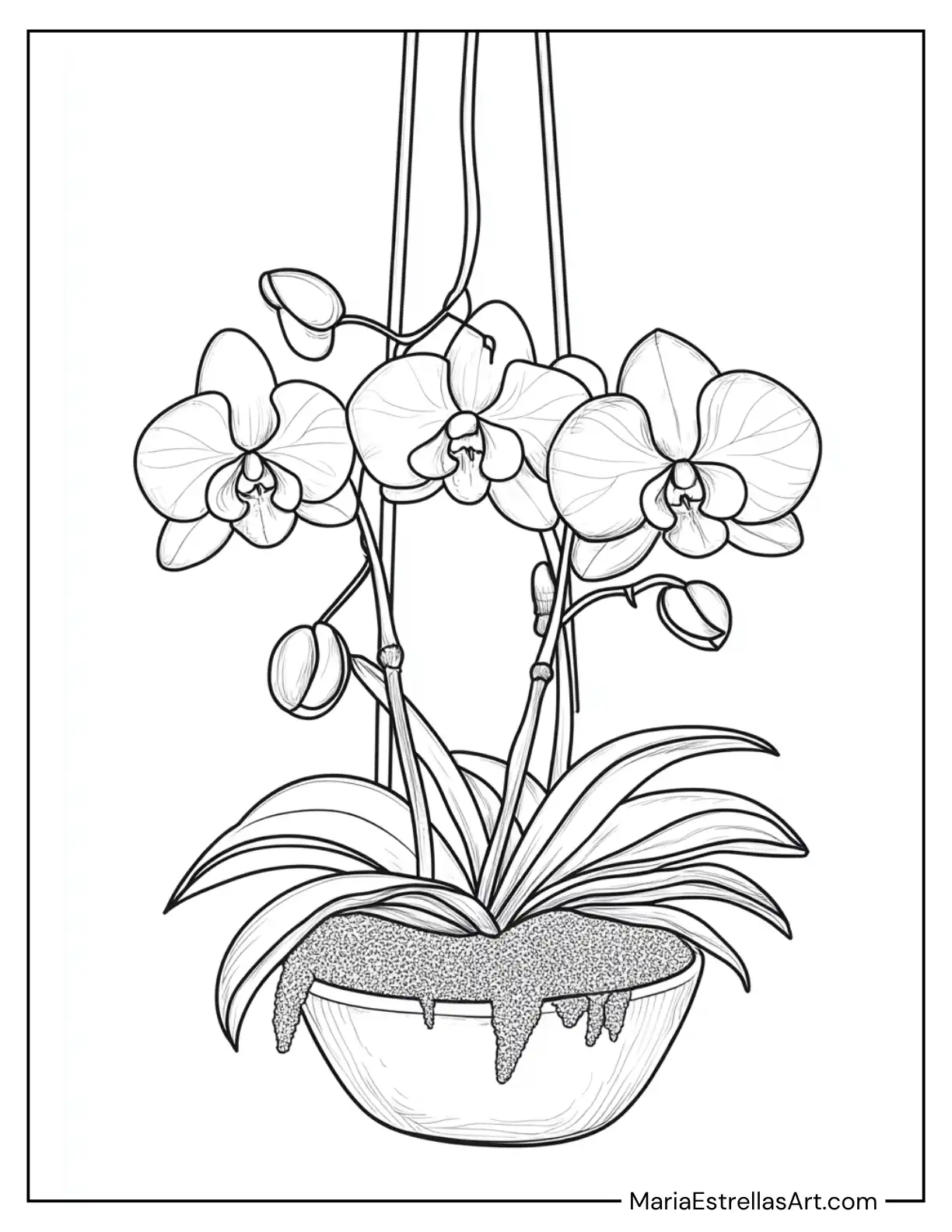 Orchids in a Hanging Basket With Moss Accents Coloring Page