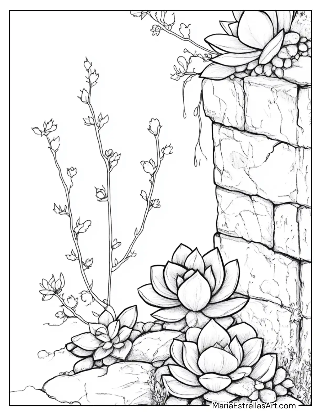 Succulents Growing From Cracks in an Old Stone Wall Coloring Page