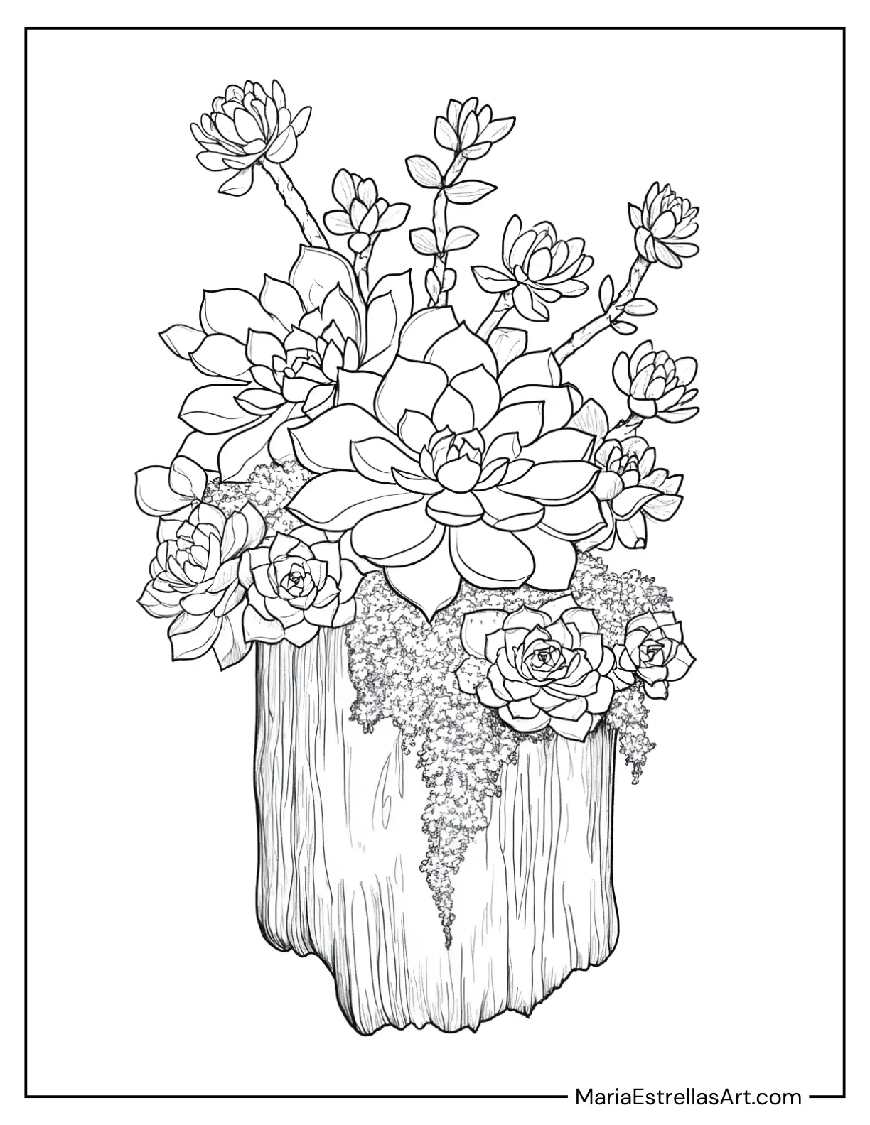 Succulents Growing on a Driftwood Log With Moss Details Coloring Sheet