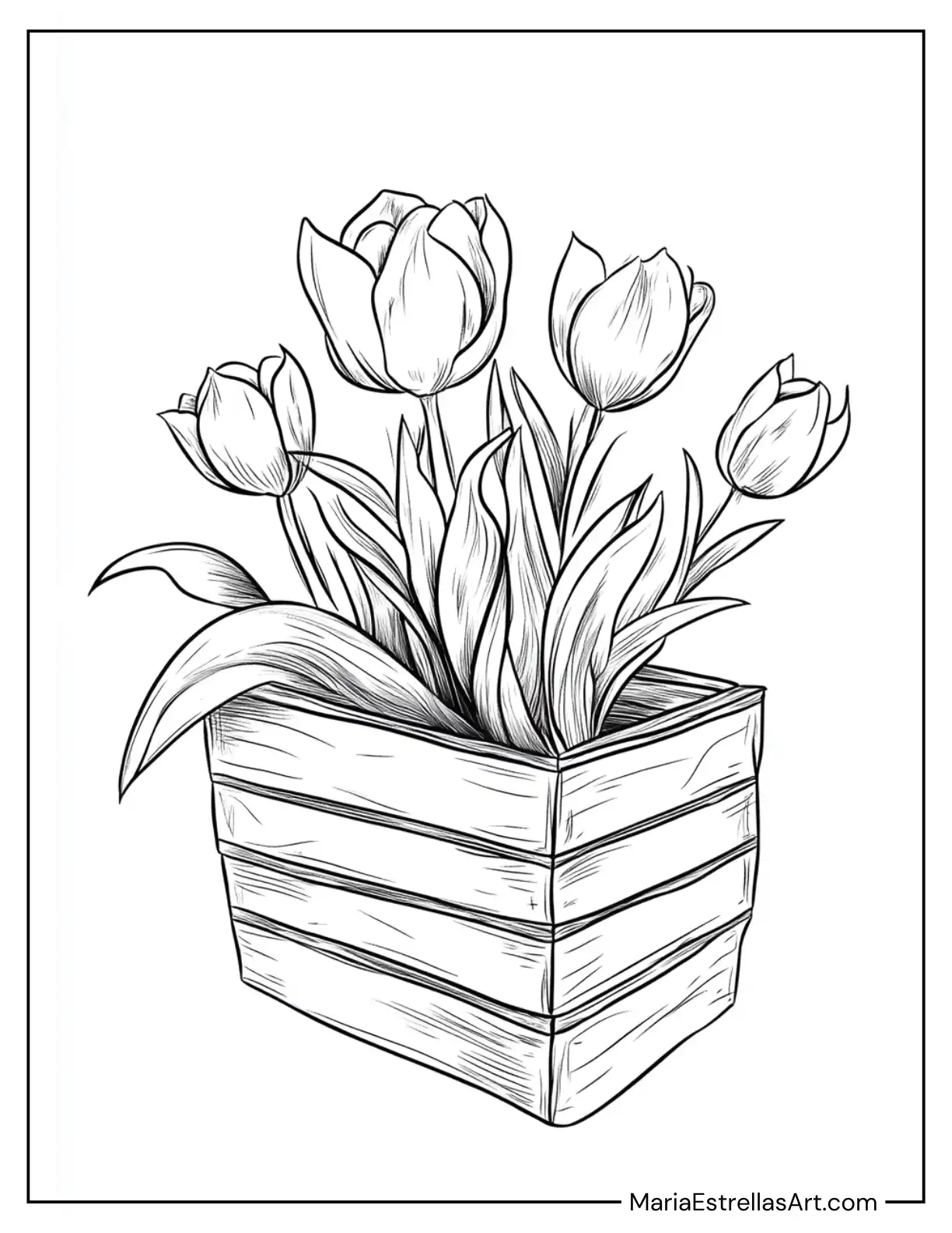 Tulips in a Wooden Crate to Color for Kids