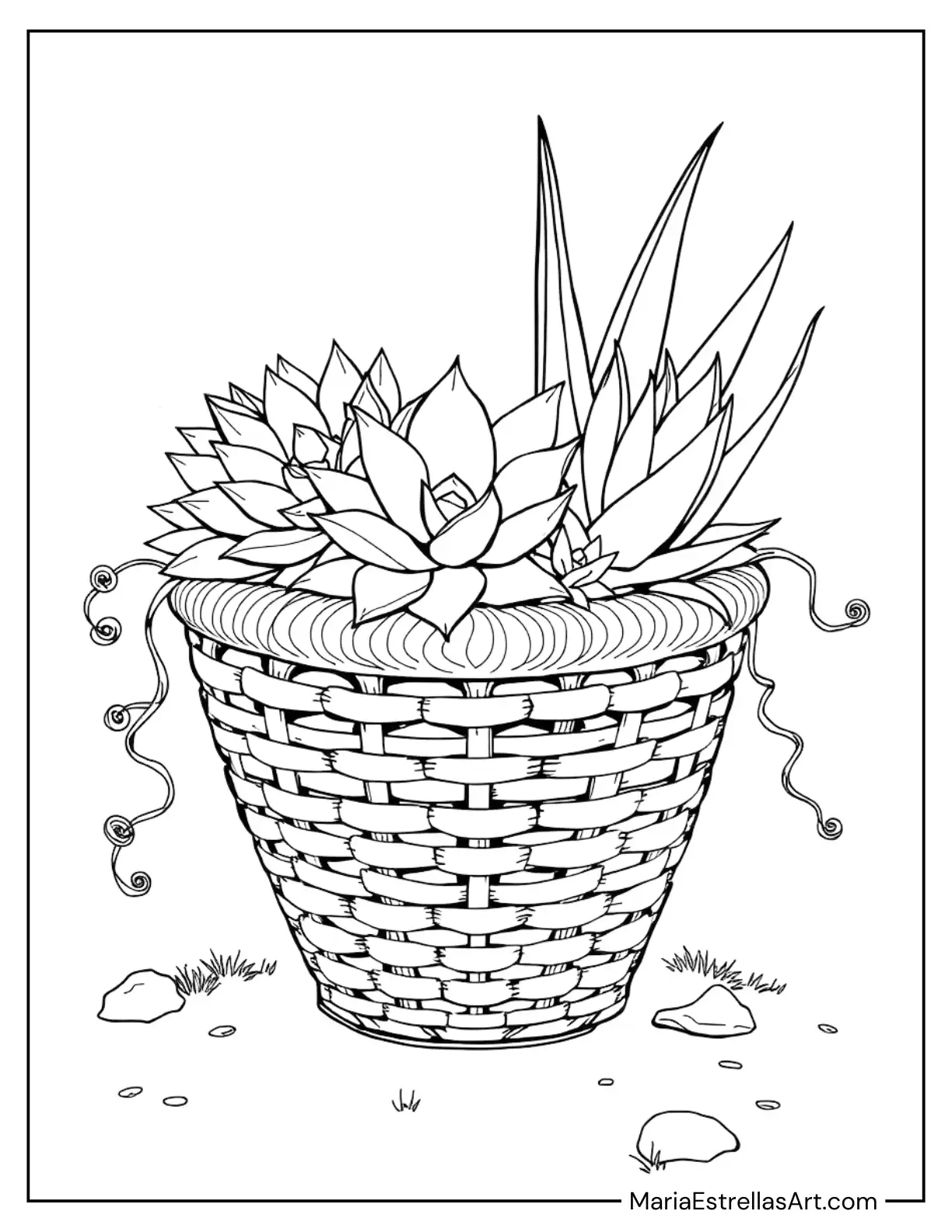 Woven Basket-Style Pot Filled with Echeveria, Haworthia, and Aloe, with Vines Coloring Sheet