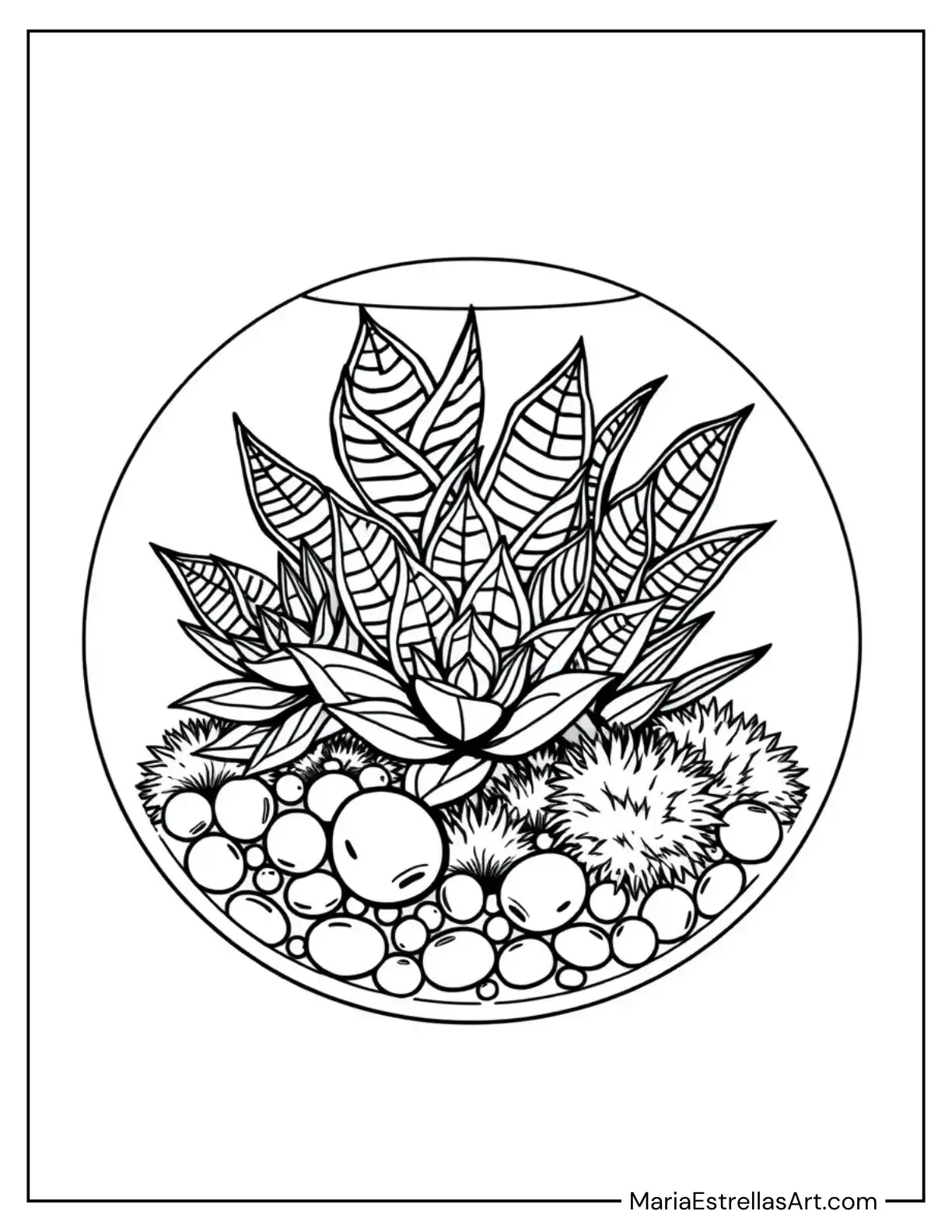 Zebra Haworthia Succulents in a Round Glass Terrarium with Pebbles and Moss Coloring Page