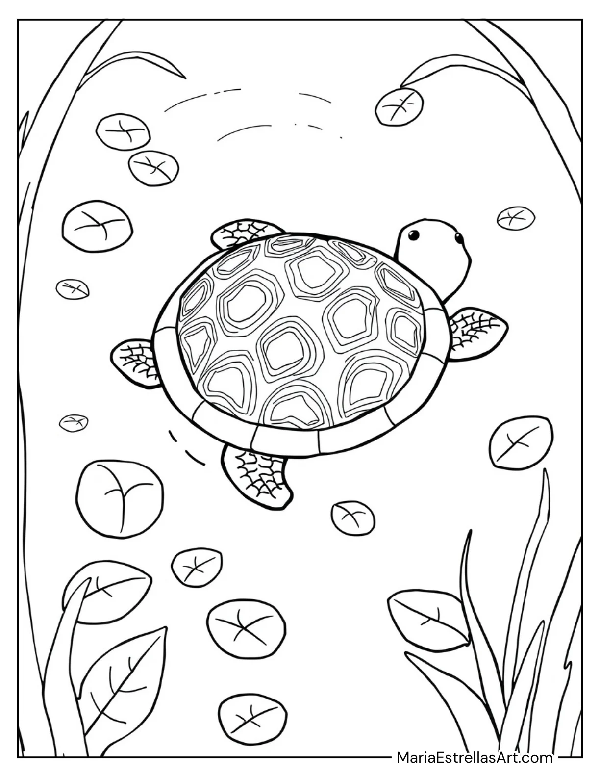 Baby Turtle Surrounded by Floating Leaves