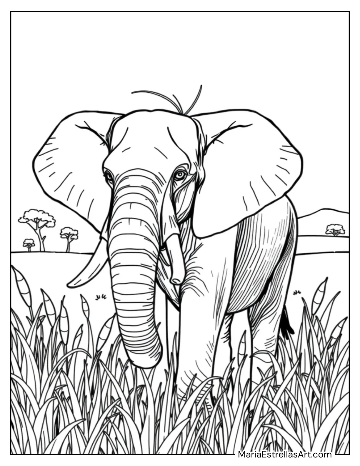 Elephant Standing in a Field of Tall Grass