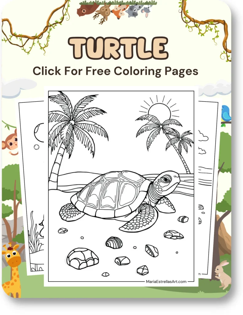 Turtle Coloring Pages For Animal